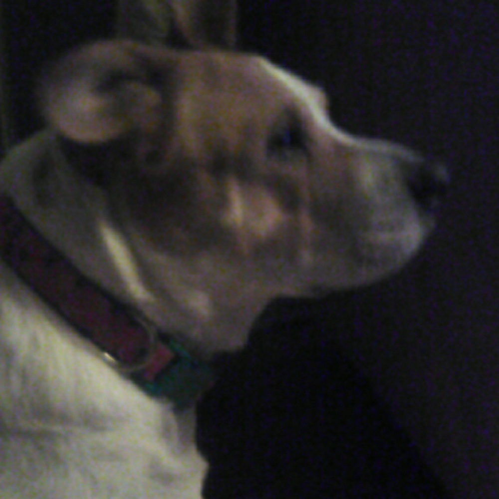 Meet your Posher, Tiffany